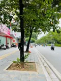 Bán Building Mặt Phố Nguyễn Khánh Toàn: 100m2, Kinh Doanh Đỉnh Cao - Ảnh 1