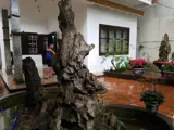 Bán Đất Xây Căn Hộ Dịch Vụ, Nhà Vườn Tại Quận Hai Bà Trưng, Hà Nội - Ảnh 1