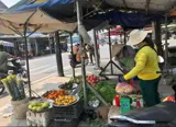 Bán Đất Thổ Cư Mặt Tiền Tỉnh Lộ 7, Củ Chi - 209m2, SHR - Ảnh 2