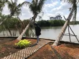Bán Lô Đất View Sông Phong Phú, Bình Chánh - Vị Trí Đẹp, Giá Tốt - Ảnh 3