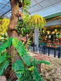 Bán Đất Chính Chủ HXH Long Thuận, P. Long Phước, Quận 9 - Vị Trí Đắc Địa, Tiềm Năng Đầu Tư - Ảnh 2
