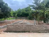 Đất nền Xuân Long - 295m2 Full Thổ Cư - Giá 24tr/m2 - Ảnh 3