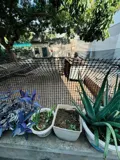 Chính chủ bán gấp lô đất đẹp Yên Nghĩa, Hà Đông - Ô tô đỗ cửa - Ảnh 3