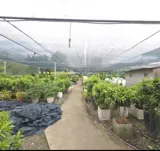 Siêu phẩm đất nền góc 2 mặt tiền Nguyễn Duy Trinh, Thủ Đức - Đầu tư sinh lời - Ảnh 3