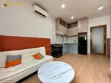 Cho Thuê Chung Cư Mini Studio 50m2, Giá 12 Triệu/Tháng - TP.HCM - ảnh 16