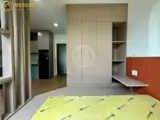 Cho Thuê Chung Cư Mini Studio 50m2, Giá 12 Triệu/Tháng - TP.HCM - ảnh 7