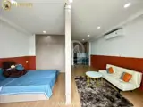 Cho Thuê Chung Cư Mini Studio 50m2, Giá 12 Triệu/Tháng - TP.HCM - ảnh 19