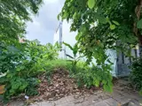 Bán Khuôn Đất Khu Dân Cư Số 1, Quận 2: 8x17.5m, Giá Tốt - Ảnh 2