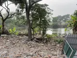 Bán đất Yên Viên Gia Lâm - 139m2 - Mặt tiền 9m - View Hồ - Giá Tốt - Ảnh 3