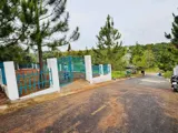 Bán Gấp Lô Đất Phước Vĩnh An, Củ Chi - 168m2, Full Thổ Cư, Giá Tốt - Ảnh 3