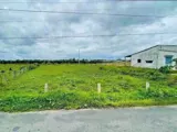 Bán Gấp Lô Đất Mặt Tiền Nhuan Đức, Củ Chi - Sổ Hồng Riêng, Vị Trí Đắc Địa - Ảnh 3