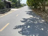 Bán Gấp Lô Đất 81m2 Đường Nguyễn Văn Bứa, Xuân Thới Sơn - Giá 1.79 Tỷ - Ảnh 2