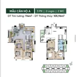 Conic Boulevard: Giá Từ 29 triệu/m2 - Sở Hữu Ngay Căn Hộ Hoàn Thiện - Ảnh 6