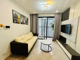 Cần Bán Căn 1PN Đầy Đủ Nội Thất, Giá Chỉ 2.38 Tỷ Tại OCP - Ảnh 4