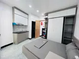 Bán Toà Nhà CCMN Kim Mã, Phan Kế Bĩnh - Dòng Tiền 100Tr/Tháng, Full Nội Thất - Ảnh 4