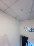 Cho Thuê Căn Hộ 1 Ngủ Tứ Liên, Tây Hồ - Giá 4tr/Tháng - Ảnh 5