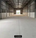 Nhà Xưởng Cho Thuê Giá Tốt Quận 12 - 300-1300m2, Vị Trí Đắc Địa - Ảnh 2