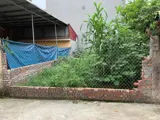 Thổ Cư Lai Xá Hoài Đức - 50m² Mặt Tiền - 8 Tỷ - Đầu Tư Sinh Lời - Ảnh 3