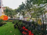 Bán Nhanh Nhà Đông Quan, Cầu Giấy - Vị Trí Đắc Địa, Kinh Doanh Đỉnh - Ảnh 8