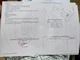 Bán Đất Nền Hóc Môn - 5x26, Thổ Cư, Sổ Hồng Riêng - Đầu Tư Sinh Lời - Ảnh 6