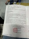 Bán Gấp Lô Đất SHR Tân Hiệp, Hóc Môn - Vị Trí Đắc Địa, Giá Tốt - Ảnh 8