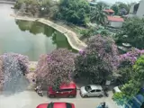 Cho Thuê Mặt Bằng Kinh Doanh - Vỉa Hè - Mặt Tiền - Hồ Hạ Đình, Thanh Xuân - Ảnh 2