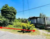 Bán Gấp Lô Đất 240m² Đường Suối Lội, Tân Thông Hội, Củ Chi - Giá 720 Triệu - Ảnh 3