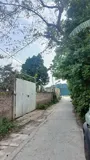 Bán Gấp Đất Đẹp Tại Tiên Lệ, Hoài Đức - 41m², Giá Tốt, Pháp Lý Sạch - Ảnh 1