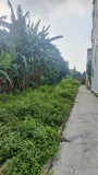 Bán Gấp Đất Đẹp Tại Tiên Lệ, Hoài Đức - 41m², Giá Tốt, Pháp Lý Sạch - Ảnh 2