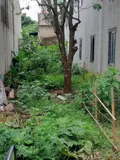 Bán Đất Phụng Châu Chương Mỹ 81m2 - Giá 3.75 Tỷ - Vị Trí Đẹp - Ảnh 2