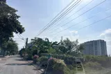 Bán Đất Biệt Thự 305M² – Đường 41 Gò Cát, Phú Hữu, Tp. Thủ Đức - Ảnh 3