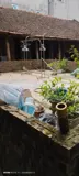 Đất Vân Canh - Vị Trí Đắc Địa, Đầu Tư Sinh Lời - Ảnh 3