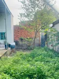 Đất nền Thới Tam, Hóc Môn: 113m2 Full Thổ Cư, Xây Dựng Tự Do - Ảnh 1