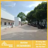 Kho cho thuê 1761m2 Dĩ An - Vị trí chiến lược, hạ tầng hiện đại - ảnh 3
