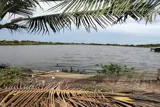 Đất Đẹp - Giá Rẻ - Hạ Giá Bán Nhanh 14 Công Tại Giá Gai,Bạc Liêu - Ảnh 5