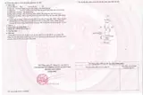 Đất Nền Minh Thạnh Ngay Thị Trấn Dầu Tiếng, Giá 600 Triệu, Ngân Hàng Vay 400 Triệu - Ảnh 3