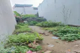  Thửa Đất Đẹp Đại Áng – Rộng 80,5M² – Ô Tô Tải Đỗ Cửa – Gần Chợ, Gần Hồ-Hơn 6 Tỷ - Ảnh 2
