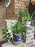 Cho thuê căn studio Long Biên - Giá 5 triệu/tháng - View đẹp, yên tĩnh - ảnh 6