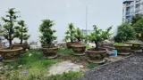Lô Đất Mặt Tiền Thạnh Xuân 22, Quận 12: Vị Trí Đẹp, Đầu Tư Sinh Lời Cao - Ảnh 7
