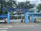 Nhà Đẹp Tân Bình - 100m2, 3 Tầng, Ngay Trường Đống Đa - Giá 9.75 Tỷ - Ảnh 5