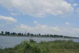 Đất Nn View Sông 954M2, Vuông – An Phú Đông 3 Q12 - Ảnh 5