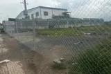 Chu Gửi Gấp Lô Đất  22 Tỷ - Đất 1000M² Siêu Đẹp - Ngay Ngã Ba Giồng - Thích Hợp Xây Kho, Xưởng, - Ảnh 2