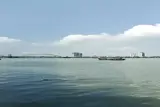 Bán Nhà Mặt Tiền View Pháo Hoa Sông Hàn Đường Trần Hưngđạo - ảnh 2
