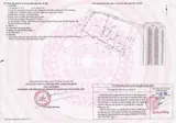 Đất Mặt Tiền Nguyễn Xiển, Q9, 2800m2 - Cơ Hội Đầu Tư Vàng - Ảnh 3