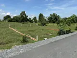 Bán Gấp Lô Đất 150m2 Bà Điểm, Hóc Môn - Giá Tốt, Pháp Lý Sạch - Ảnh 2