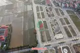 Bán Đất Đấu Giá Thuỵ Lâm Đông Anh - Rẻ, Siêu Đẹp, Cực Tiềm Năng - Ảnh 2