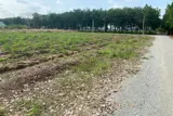 Chỉ 250 Triệu – Sở Hữu Ngay 500M² Đất Chơn Thànhcạnh Becamex - Ảnh 2