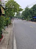 Bán Đất Nguyễn Thị Sáu, Thới Tam Thôn - 68m2, Giá Tốt, SHR - Ảnh 4