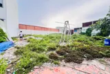 Lô Đất Đẹp (21X25) - 522M² - Vuông A4 - Phân Lô - Xây Biệt Thự Vườn - Giáp Q12 - Ảnh 5