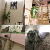 Cho Thuê Nhà Ngõ Rộng Ngô Tất Tố, Văn Miếu - Giá 12 Triệu/Tháng - ảnh 2